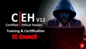 EC Council CEH v12 Download